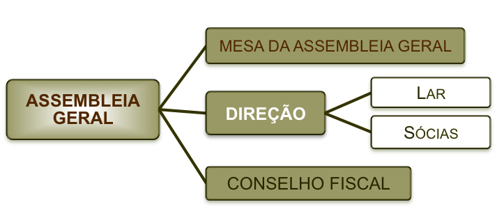 organização interna aaaio